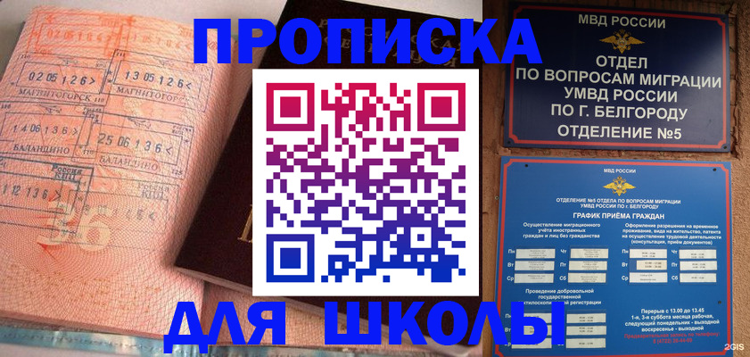 прописка иностранных граждан в Домодедово